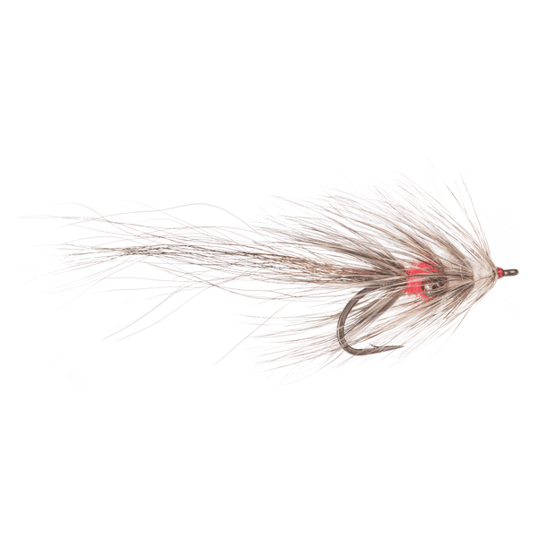 Hovedbilde Arcticflies (Sjøørret) Vaskebjørn