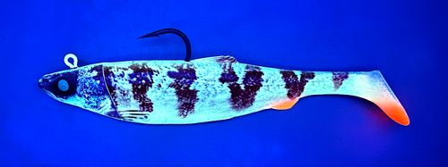 4D Herring Big Shad