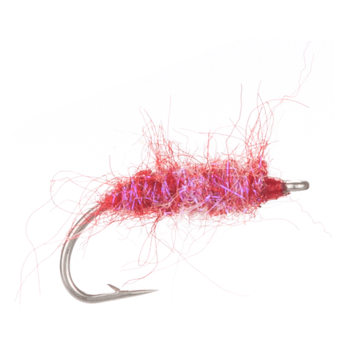 Arcticflies (Sjøørret) Skibotnflua