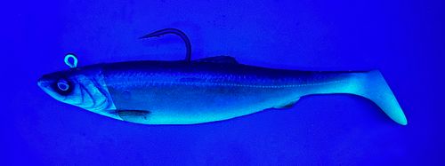 4D Herring Big Shad