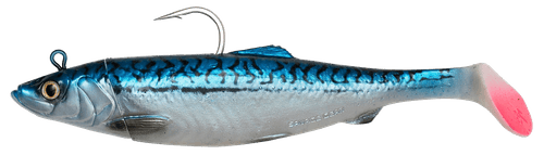 4D Herring Big Shad